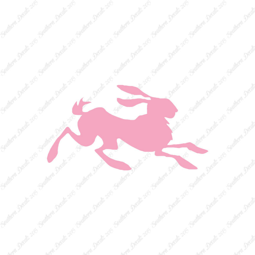 Rabbit Jackrabbit Bunny