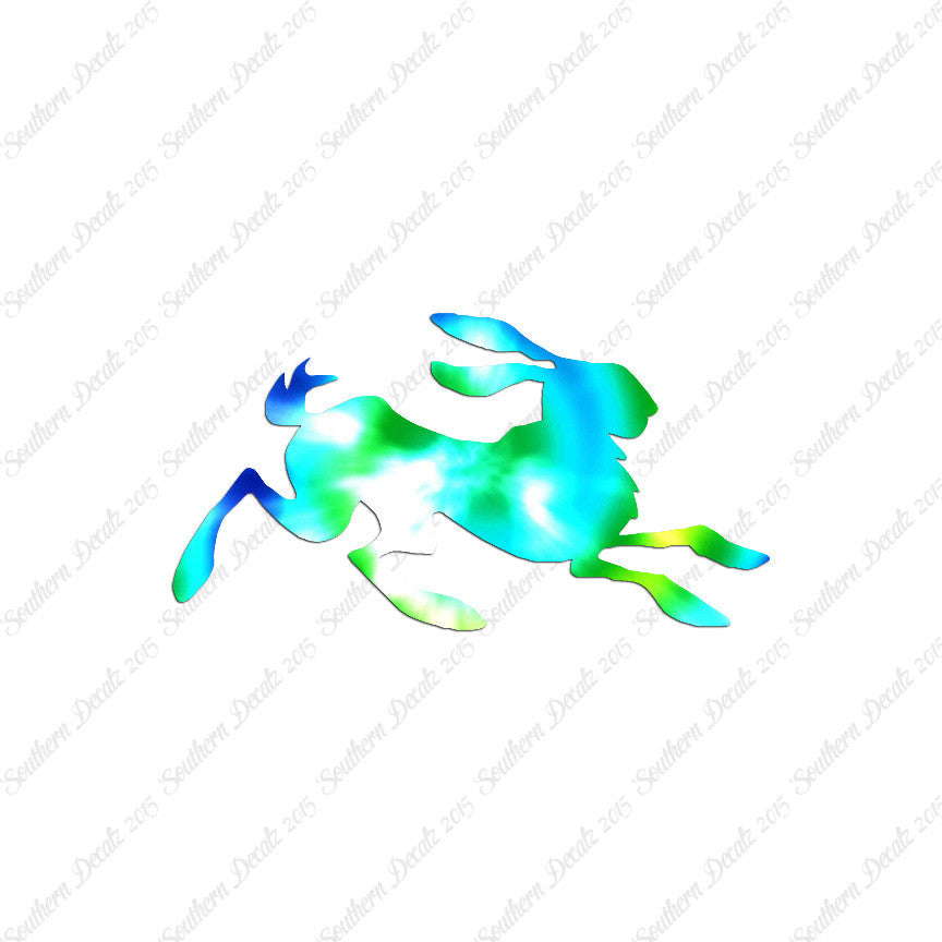 Rabbit Jackrabbit Bunny