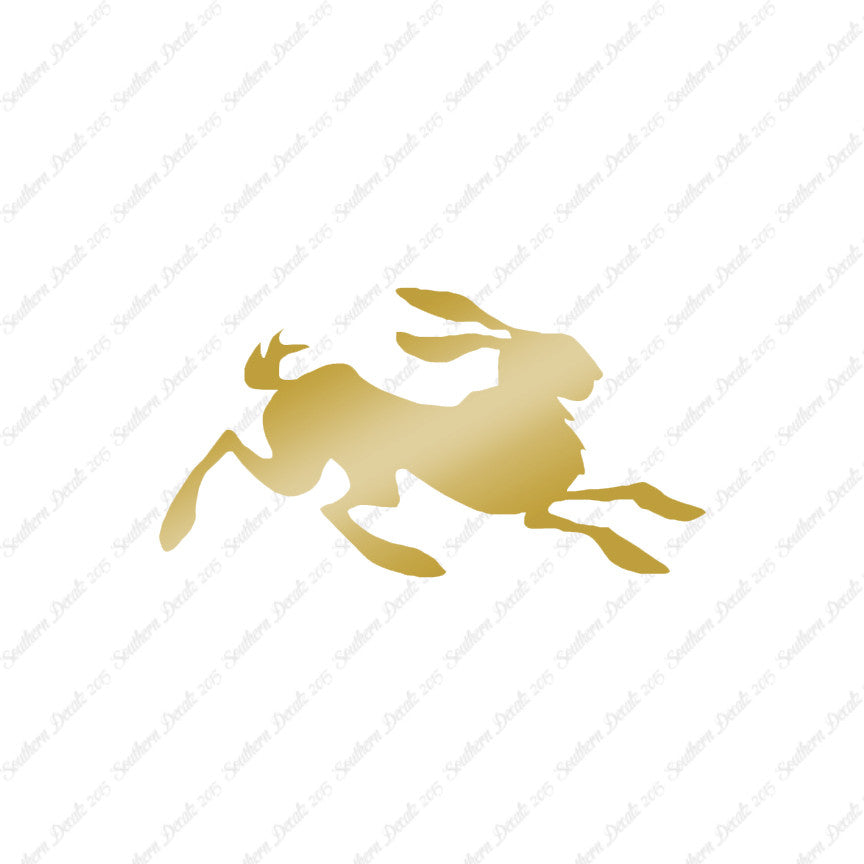 Rabbit Jackrabbit Bunny