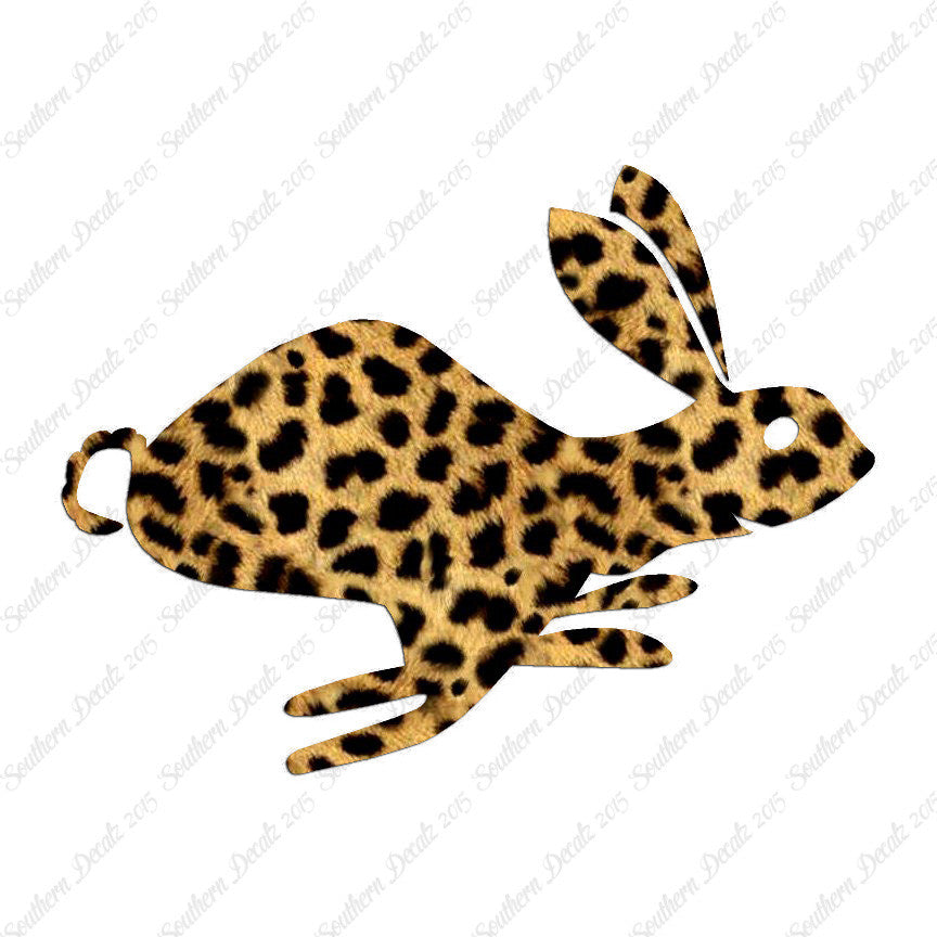 Bunny Rabbit