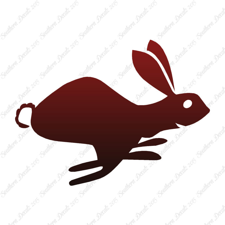 Bunny Rabbit