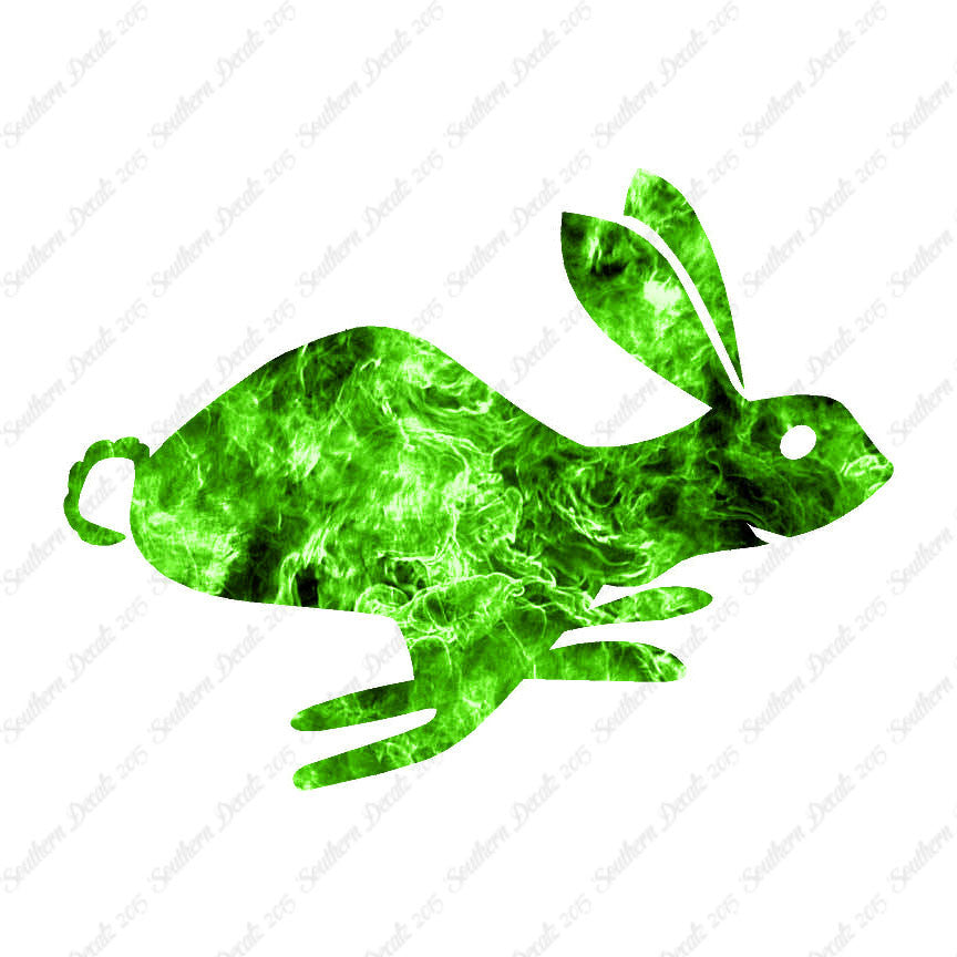 Bunny Rabbit