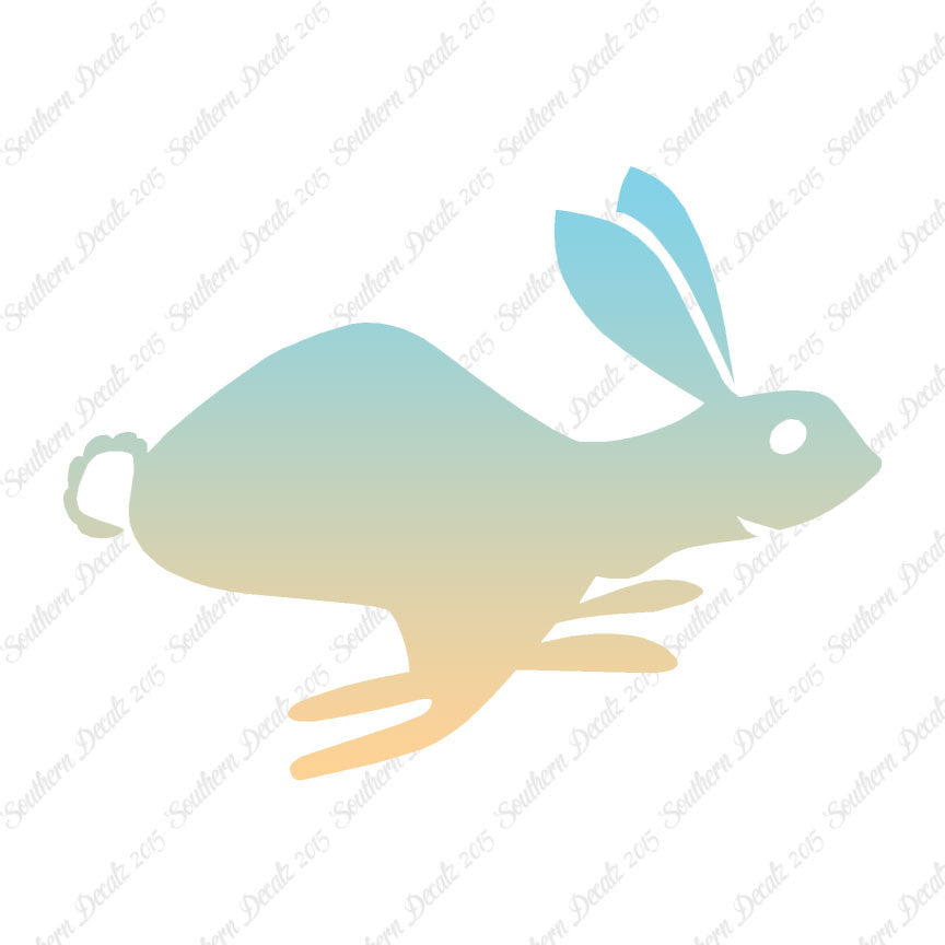 Bunny Rabbit