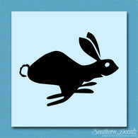 Bunny Rabbit