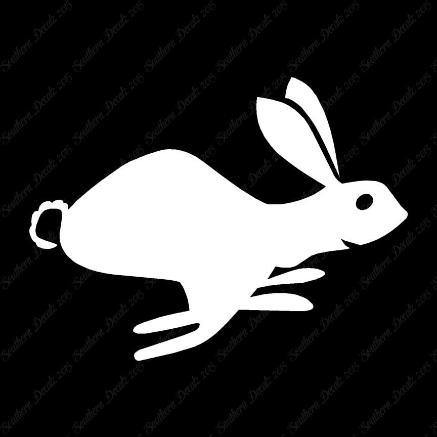Bunny Rabbit