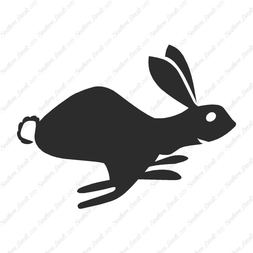 Bunny Rabbit