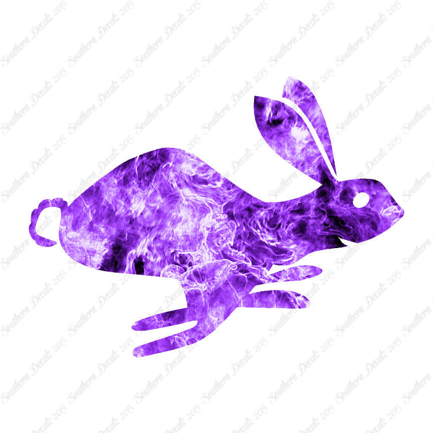 Bunny Rabbit