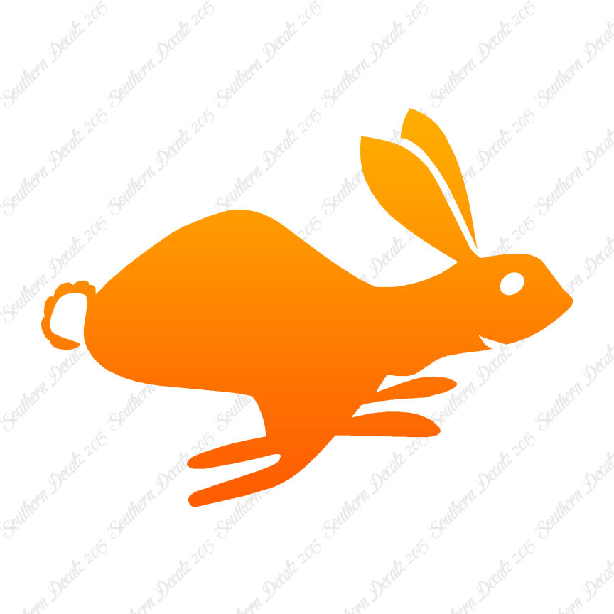 Bunny Rabbit