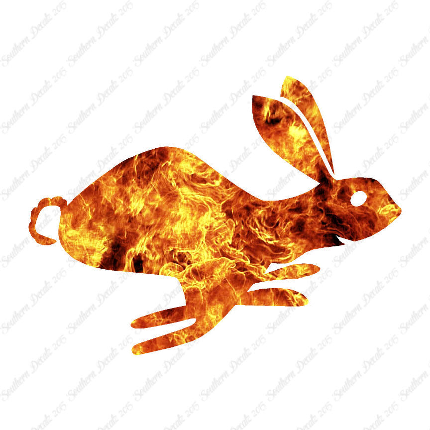 Bunny Rabbit