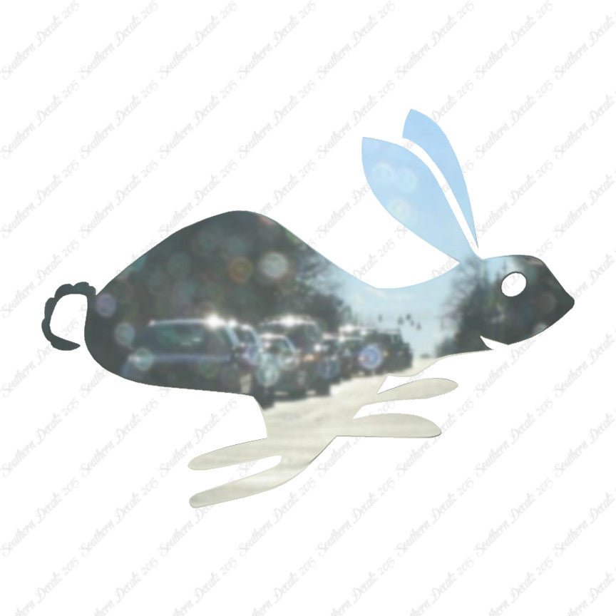 Bunny Rabbit