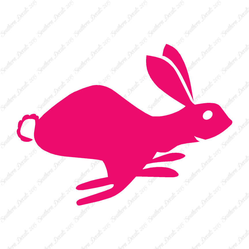 Bunny Rabbit