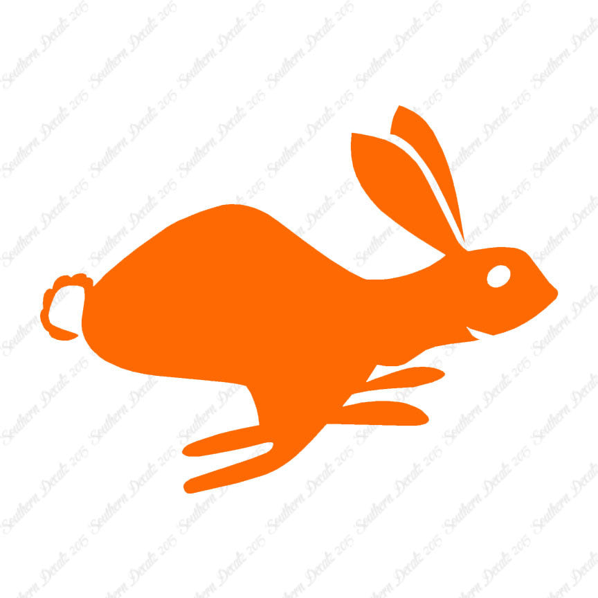 Bunny Rabbit
