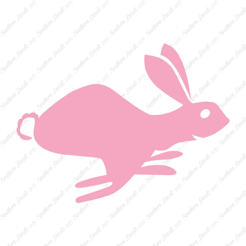 Bunny Rabbit
