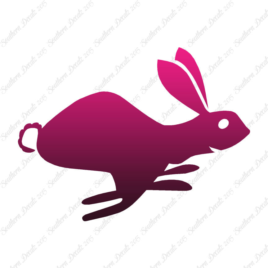 Bunny Rabbit