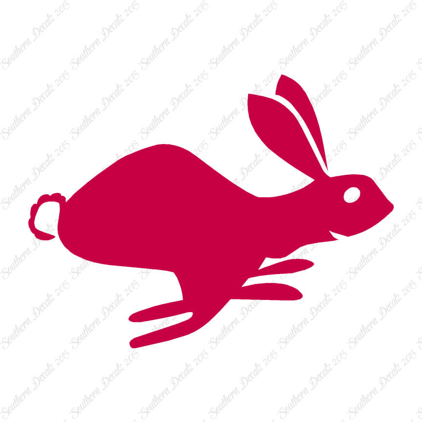 Bunny Rabbit