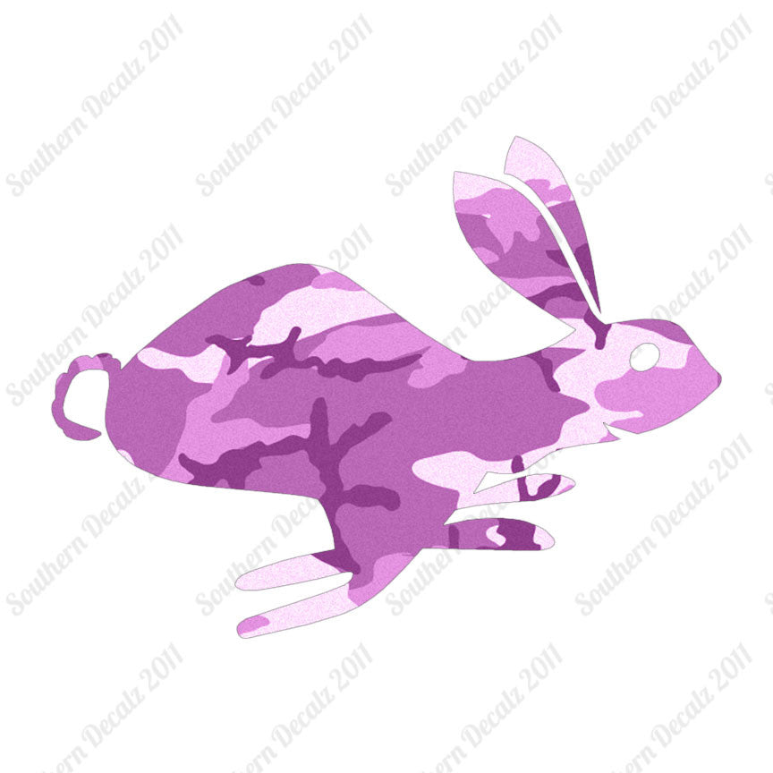 Bunny Rabbit