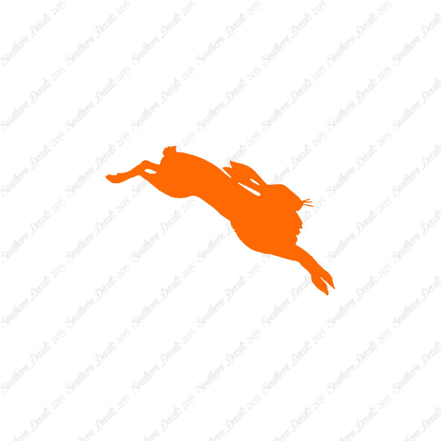 Jackrabbit Rabbit Bunny