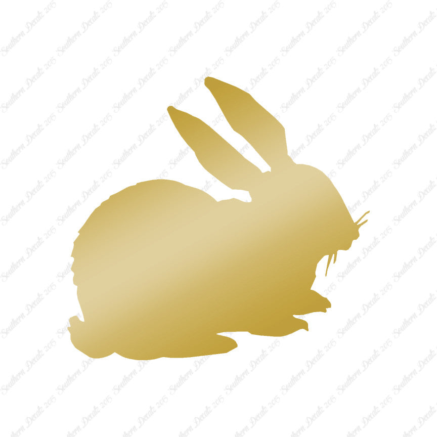 Rabbit Bunny