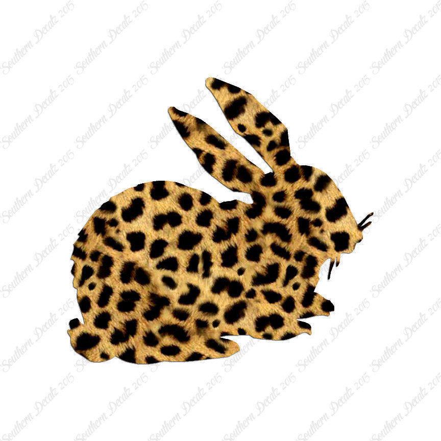 Rabbit Bunny