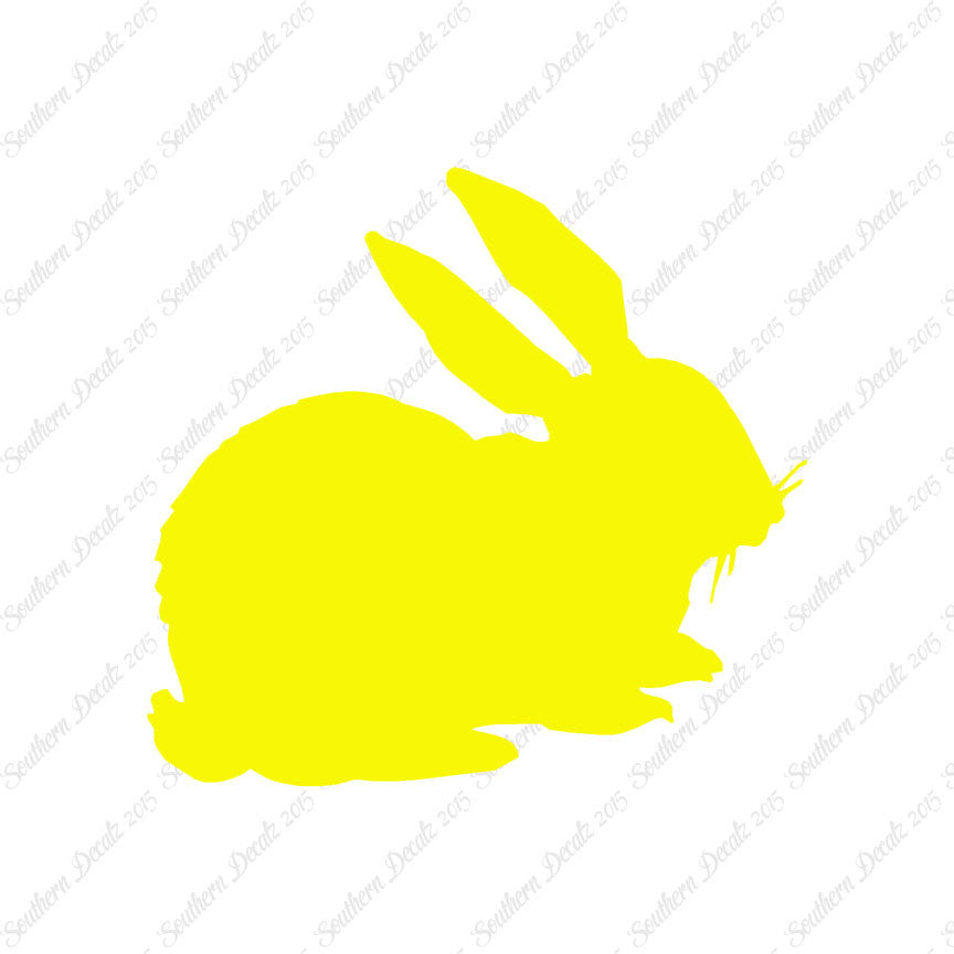 Rabbit Bunny