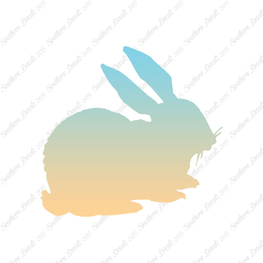 Rabbit Bunny