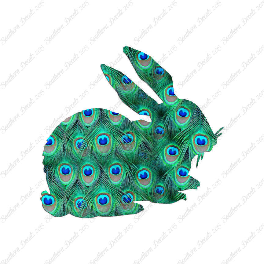 Rabbit Bunny