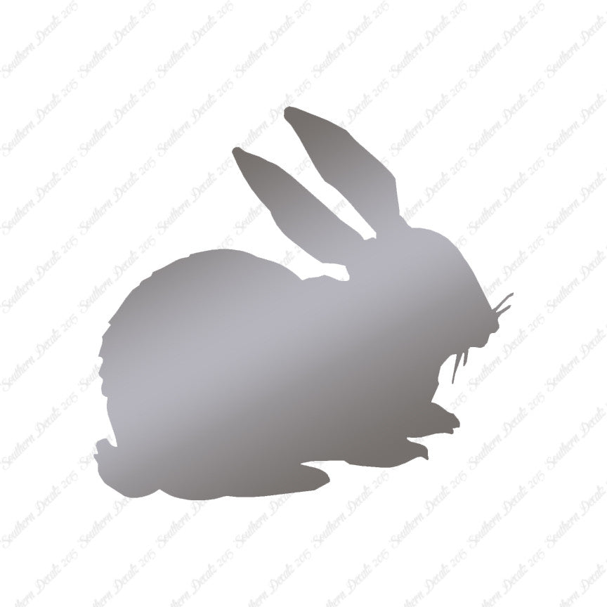 Rabbit Bunny