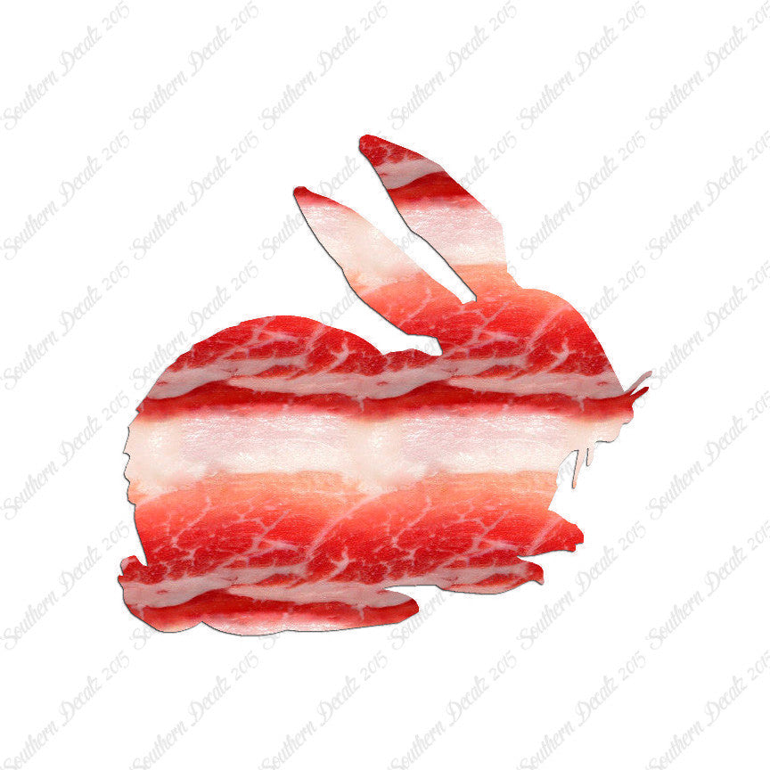 Rabbit Bunny