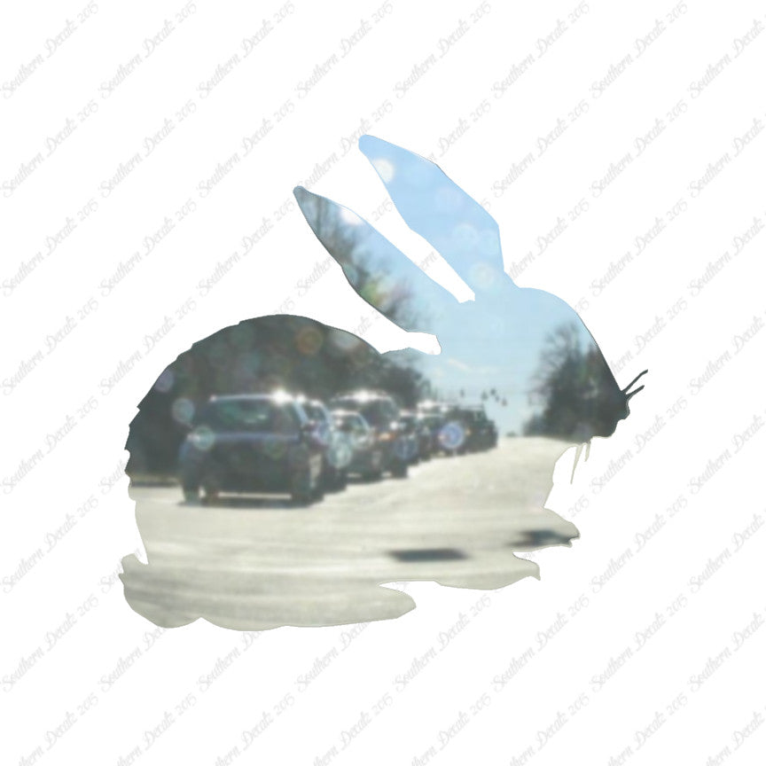 Rabbit Bunny