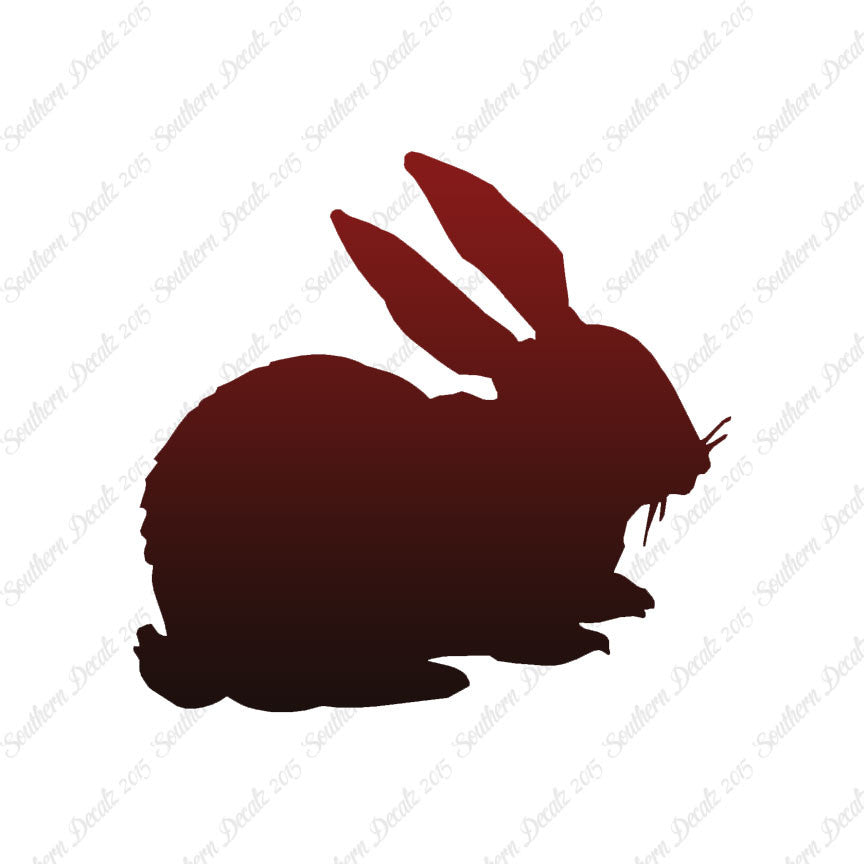 Rabbit Bunny