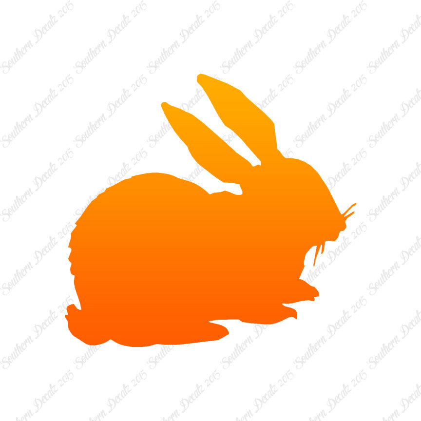 Rabbit Bunny