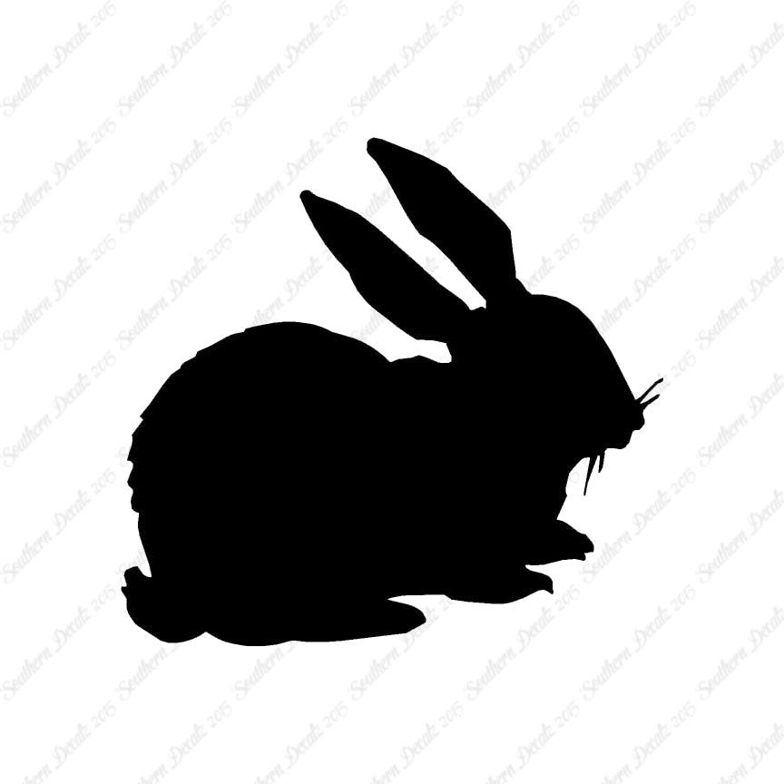 Rabbit Bunny