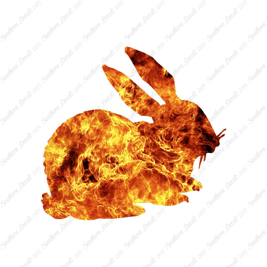 Rabbit Bunny