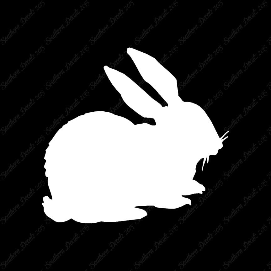 Rabbit Bunny