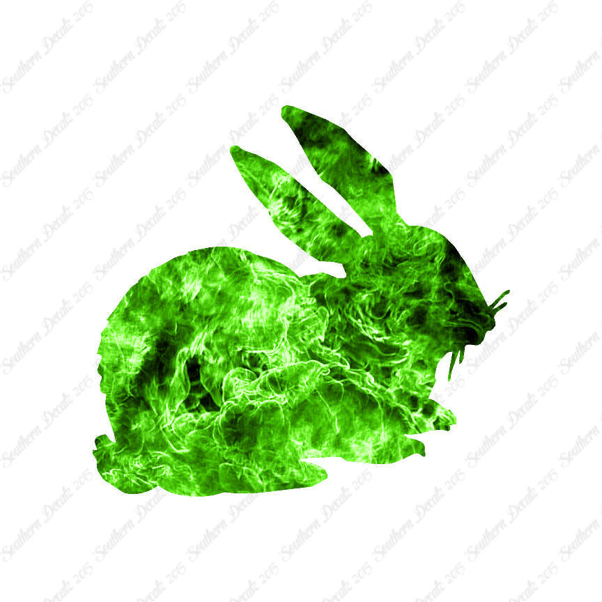 Rabbit Bunny