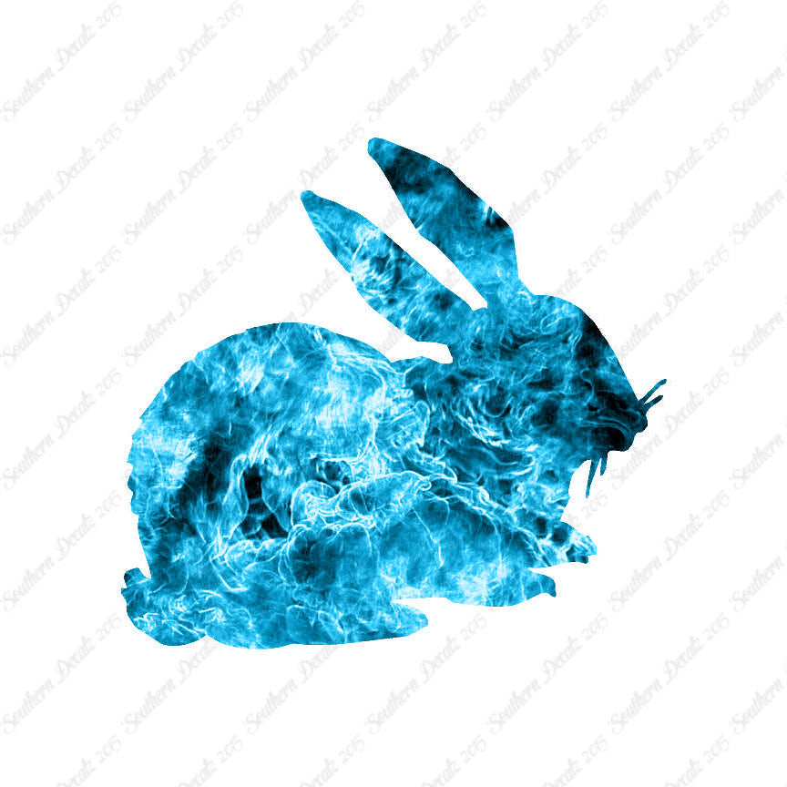Rabbit Bunny