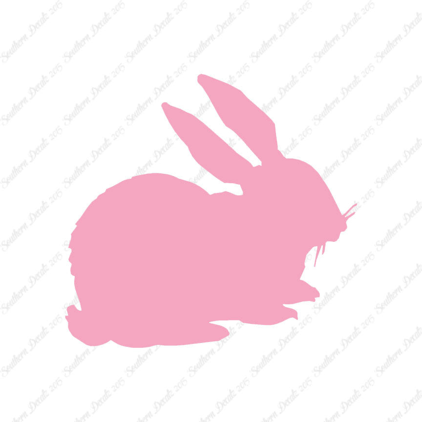 Rabbit Bunny