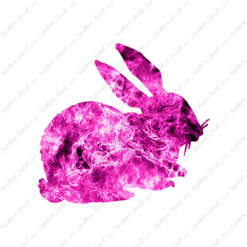 Rabbit Bunny