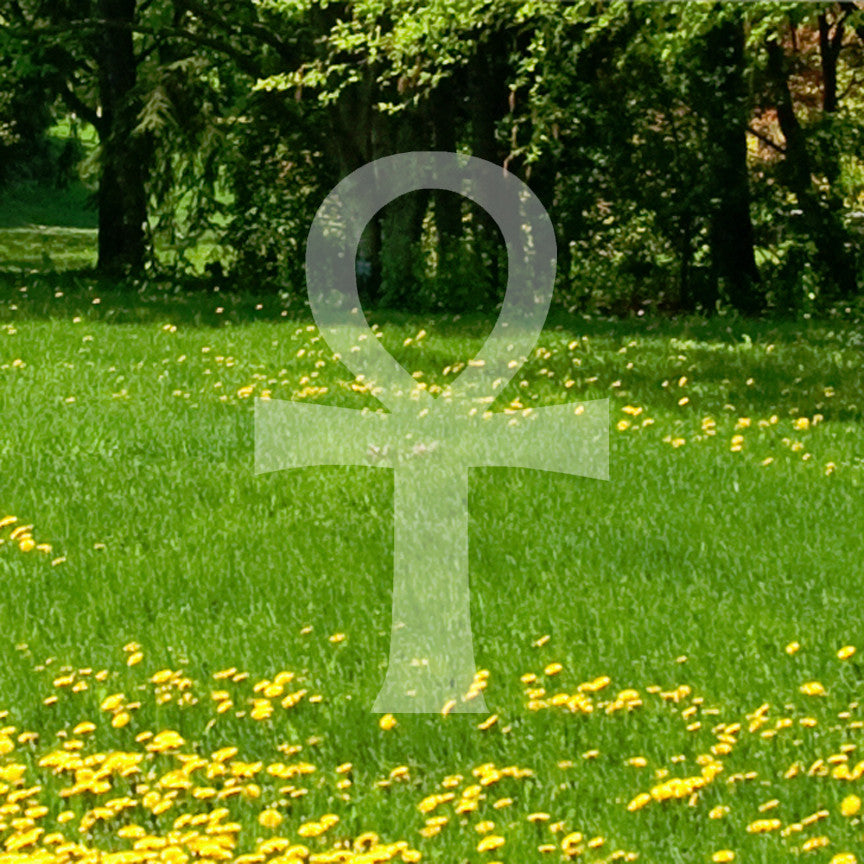 Ankh Key Of Life