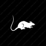 Rat Mouse Rodent