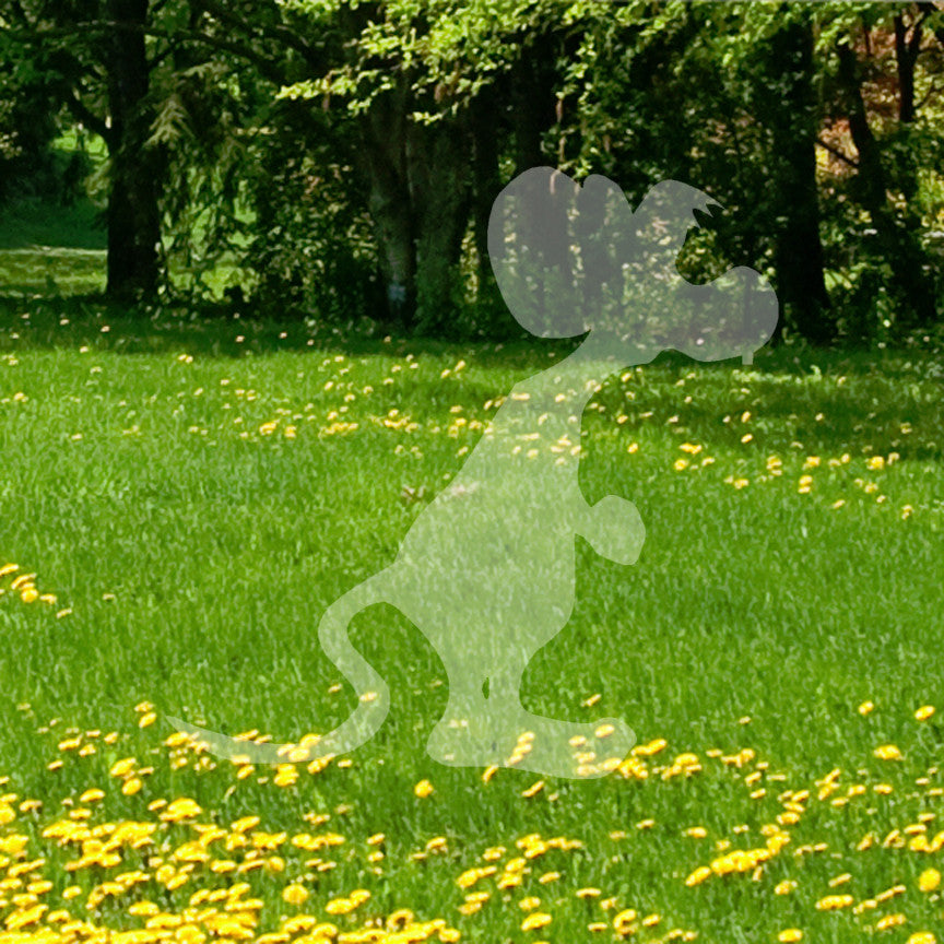 Cute Mouse Rat