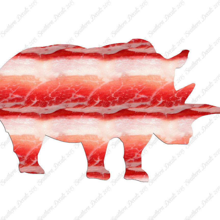 Rhino Rhinoceros