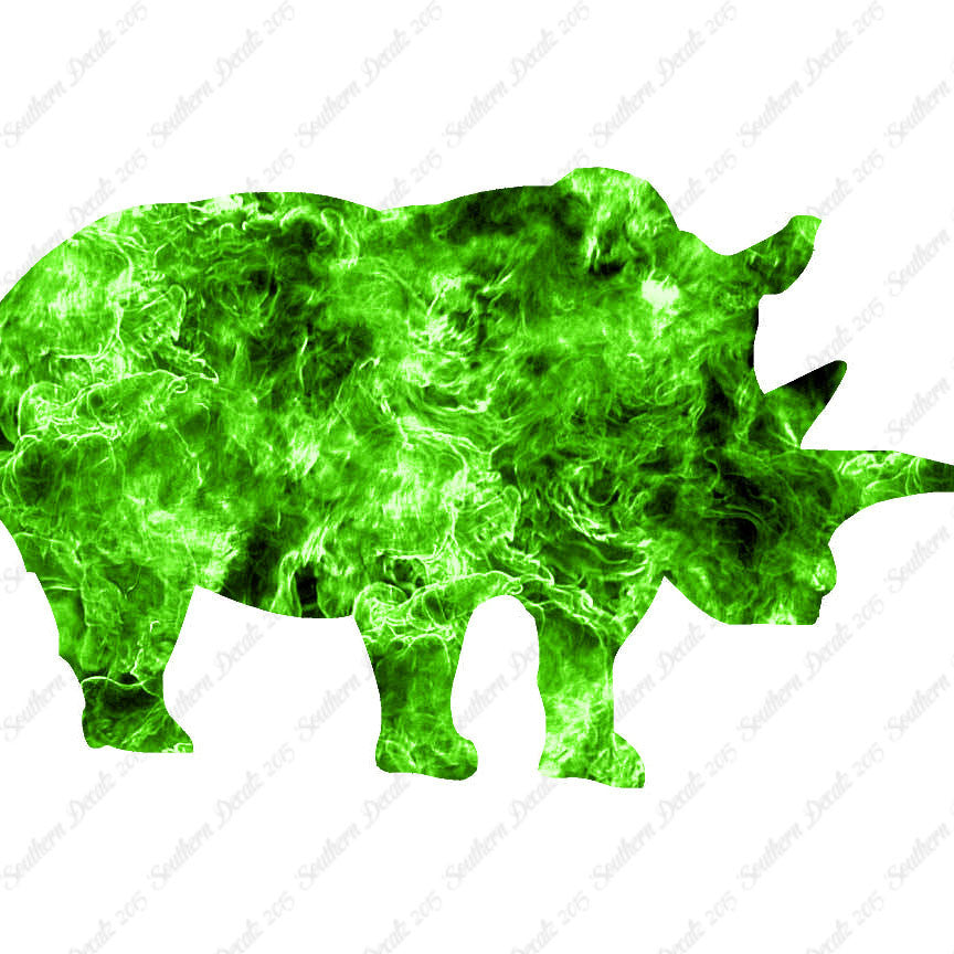 Rhino Rhinoceros