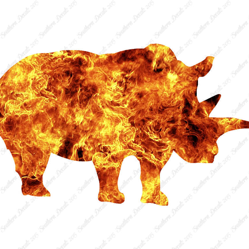 Rhino Rhinoceros