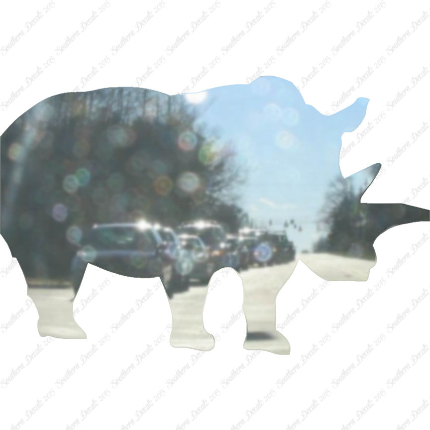 Rhino Rhinoceros