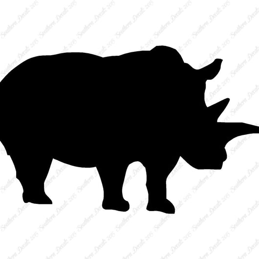 Rhino Rhinoceros