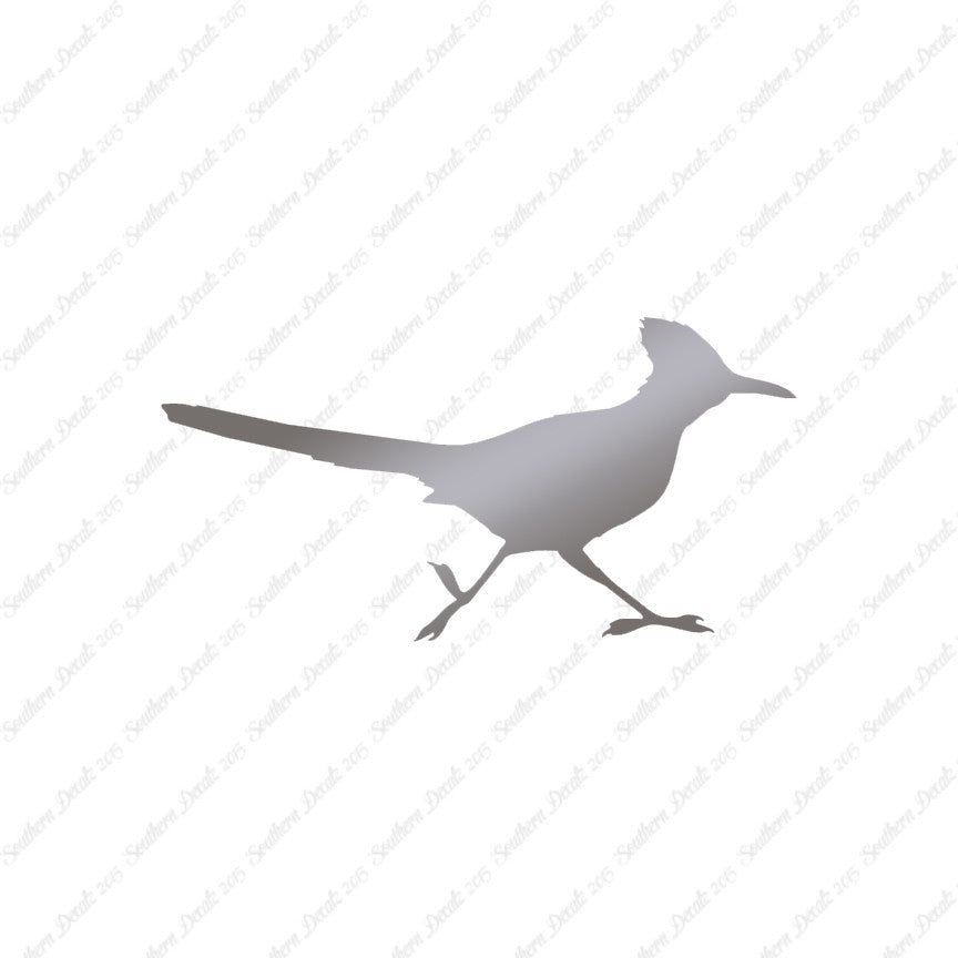Roadrunner Bird