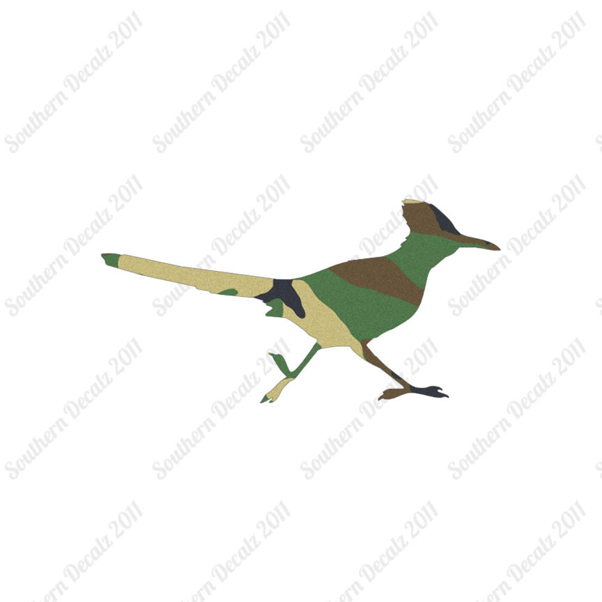 Roadrunner Bird
