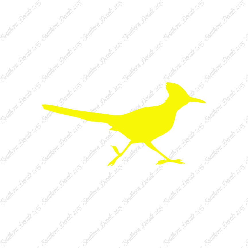Roadrunner Bird