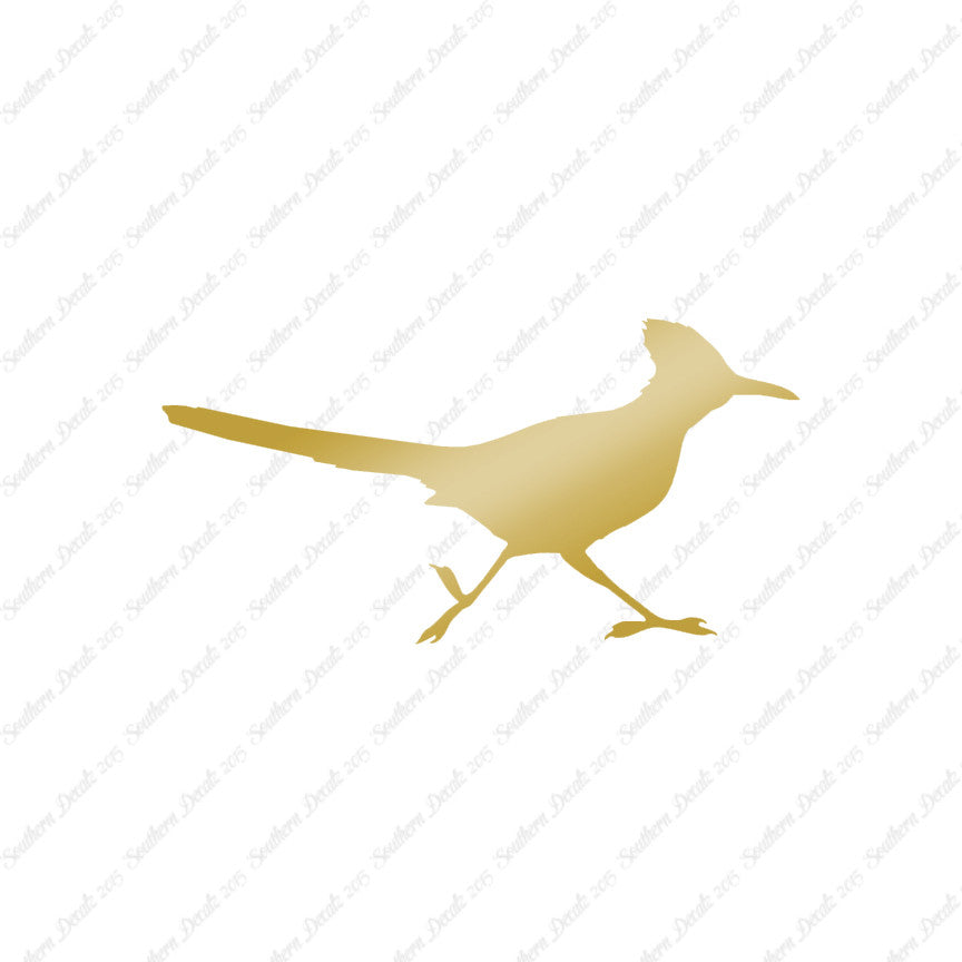Roadrunner Bird